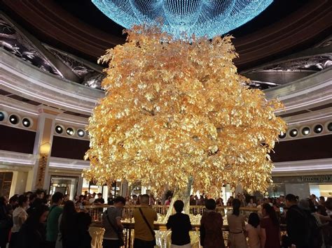wynn macau shuttle bus|Tree of Prosperity (Wynn Macau) .